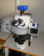 Axio Imager with ApoTome